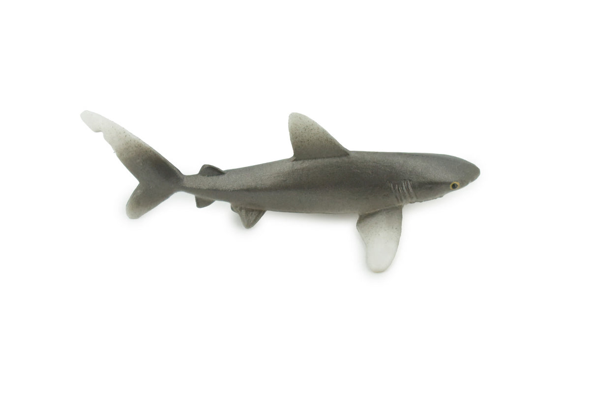 Shark, Oceanic Whitetip Shark, High Quality, Hand Painted, Rubber, Marine Fish, Realistic, Figure, Model, Toy, Kids, Educational, Gift,     3"      CH658 BB169