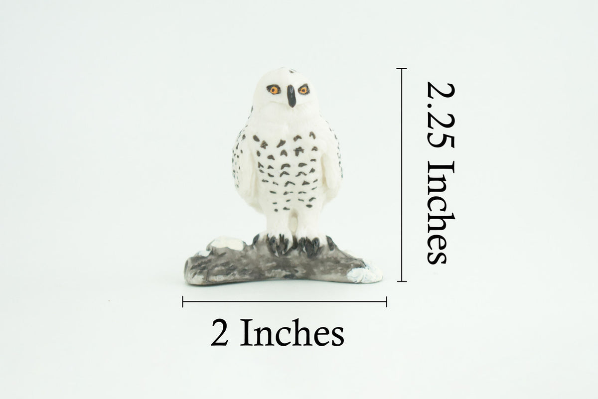 Snowy Owl, Hand Painted, Museum Quality, Educational, Raptor, Realistic Bird of Prey, Rubber, Diorama, Toys, Kids, Gift, 2 1/4 Inches. CH872 BB199
