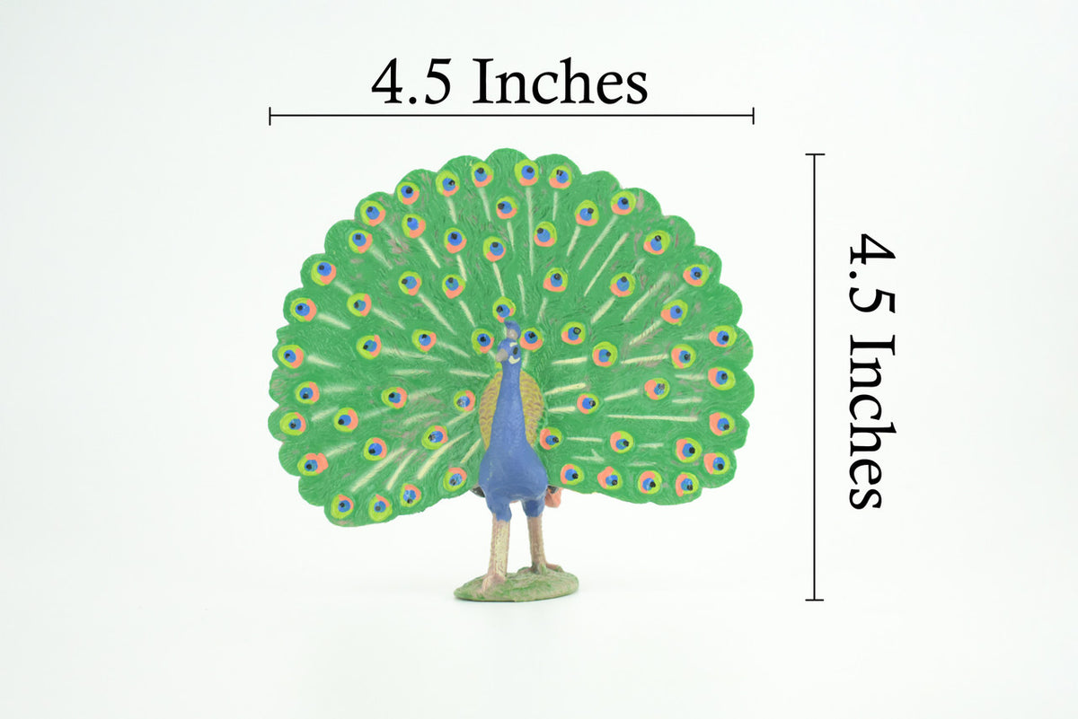Peacock, Peafowl, Hand Painted, Educational, High Quality Rubber Bird, Realistic, Diorama, Very Nice Design, Figure, Toys, Kids, Gift, 4 1/2 Inches. CH978 BB213