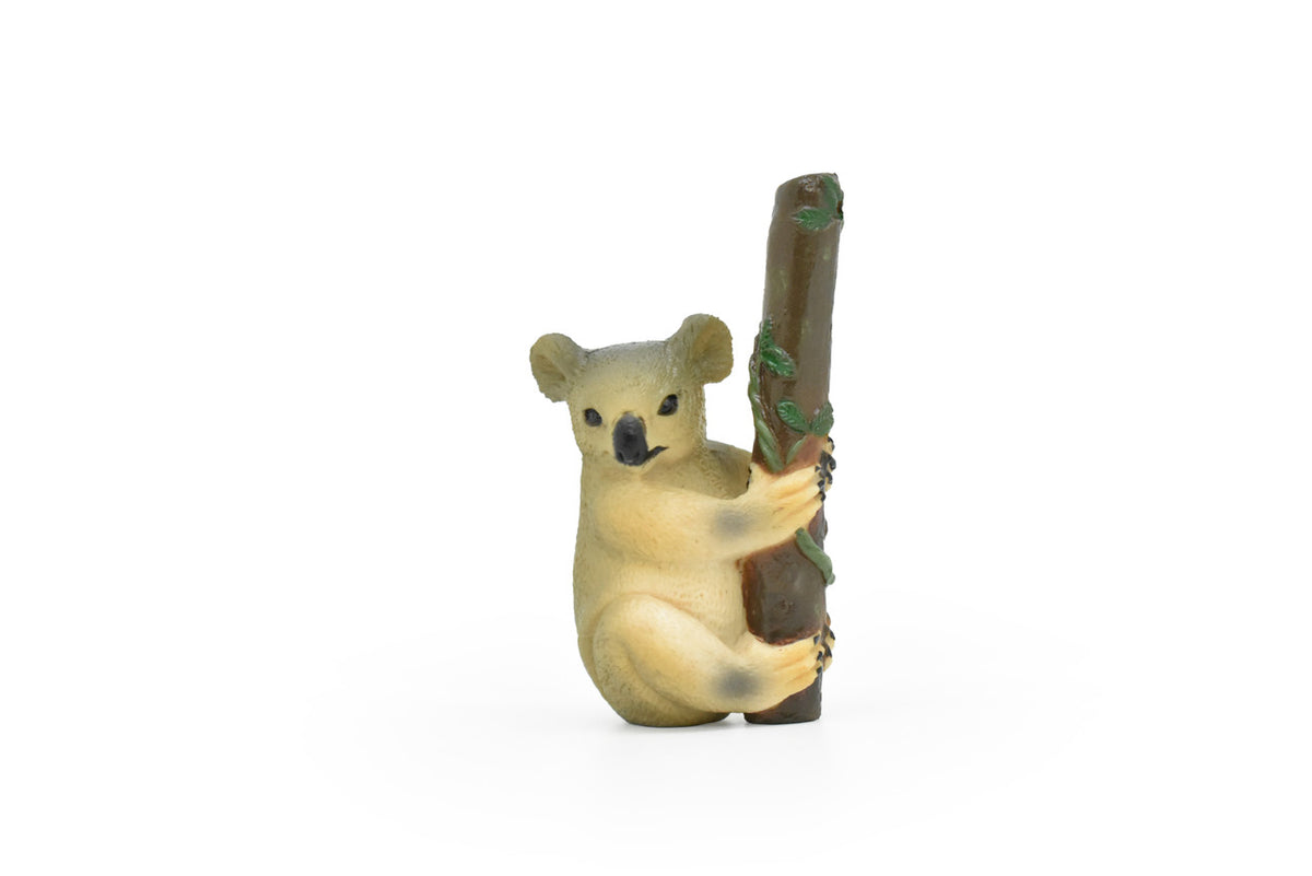 Koala Bear, Australian marsupial, Hand Painted, Museum Quality, Very Nice Plastic Design, Animal Figure, Educational, Diorama Model, Toy, Kids, 3 Inches Tall.