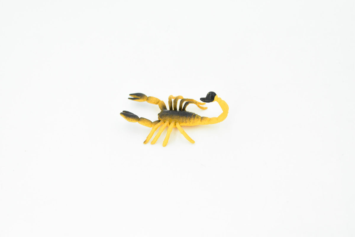 Scorpion, Arachnids, Orange & Brown, Rubber  Educational, Arachnid, Realistic Figure, Model, Replica, Kids, Toys, Gift,     2 1/2 Inches.     F1514 B103