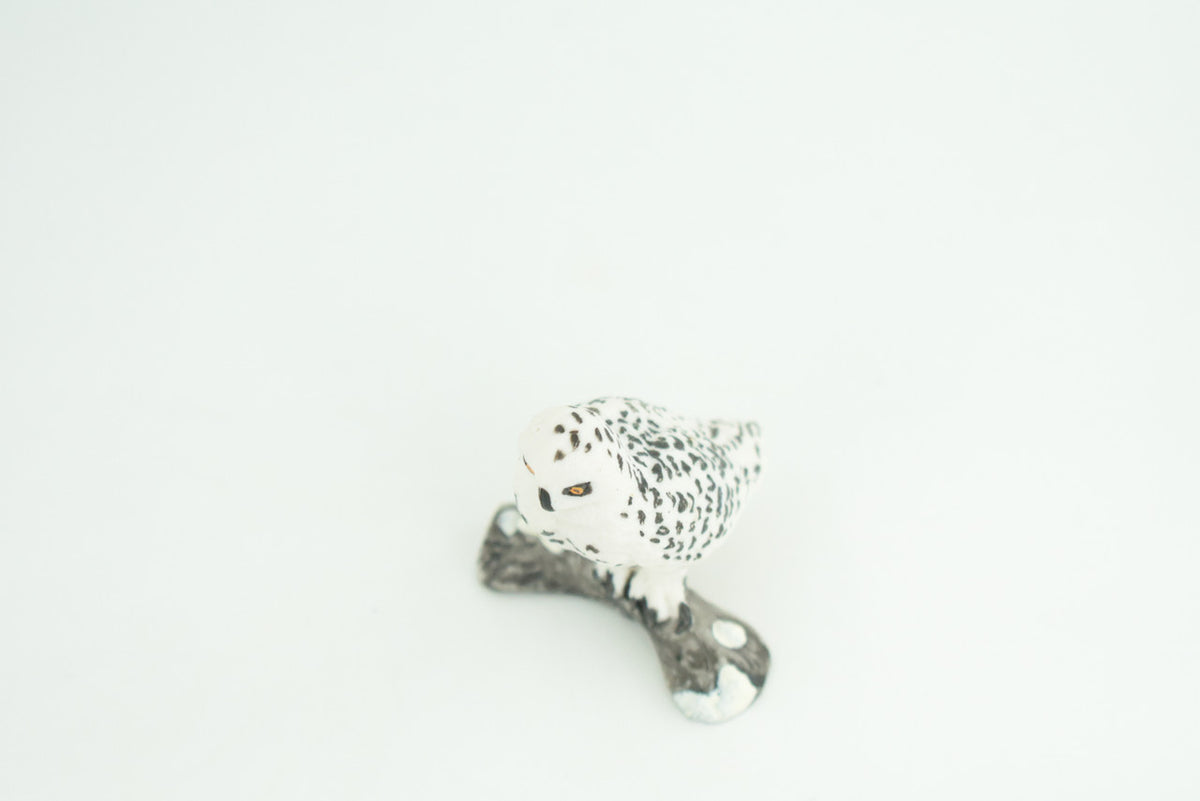 Snowy Owl, Hand Painted, Museum Quality, Educational, Raptor, Realistic Bird of Prey, Rubber, Diorama, Toys, Kids, Gift,     2 1/4 Inches.    CH872 BB199