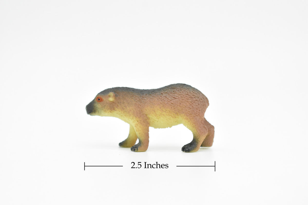 Capybara, Greater capybara, Rodent, Very Nice Plastic Animal, Hand Painted, Educational, Figure, Lifelike, Diorama Model, Replica, Toy, Kids,   2 1/2 Inches. 