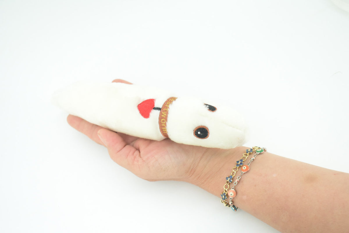 Heartworm, Dirofilariasis are long, thin parasitic roundworms, Plush Design, Educational, Figure, Replica, Gift,   9"  F1563 B102