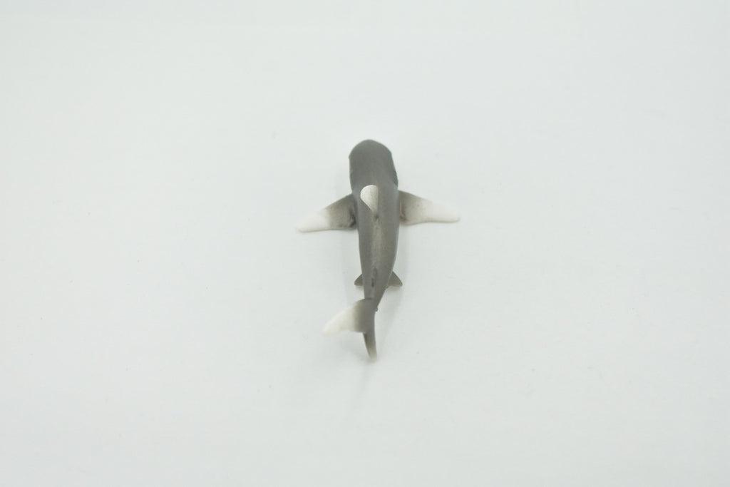 Shark, Oceanic Whitetip Shark, High Quality, Hand Painted, Rubber, Marine Fish, Realistic, Figure, Model, Toy, Kids, Educational, Gift,     3"      CH658 BB169