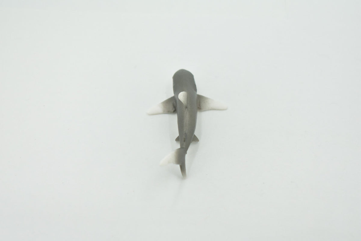 Shark, Oceanic Whitetip Shark, High Quality, Hand Painted, Rubber, Marine Fish, Realistic, Figure, Model, Toy, Kids, Educational, Gift,     3"      CH658 BB169