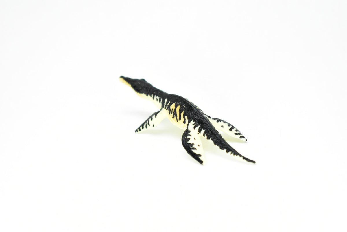 Liopleurodon Dinosaur, Museum Quality, Animal, Educational, Realistic Hand Painted, Figure, Lifelike Model, Vintage Replica, Toy, Gift,    2 1/2 Inches.    F8104 B117