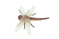 Dragonfly, Very Nice Rubber Insect, Educational, Realistic Hand Painted, Figure, Lifelike Model, Figurine, Replica, Gift, 2" US15 B44