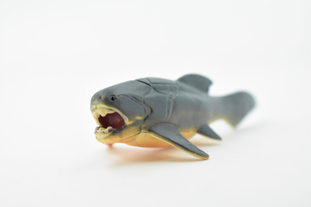 Dunkleosteus, Prehistoric Fish, Dinosaur, Very Nice Design, Rubber Fish, Hand Painted, Realistic Toy Figure, Diorama Model, Kids, Educational,  3 Inches.