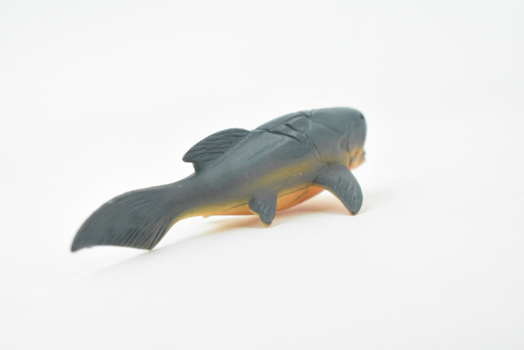 Dunkleosteus, Prehistoric Fish, Dinosaur, Very Nice Design, Rubber Fish, Hand Painted, Realistic Toy Figure, Diorama Model, Kids, Educational,  3 Inches.