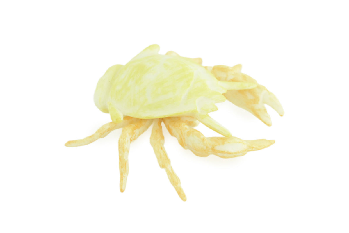 Hoff Crab, Kiwa tyleri, Squat Lobster, Marine Crustaceans, Museum Quality, Hand Painted, Toy Figure, Diorama Model, Replica, Kids, Educational, Gift, 6 Inches. CH1052 BB221