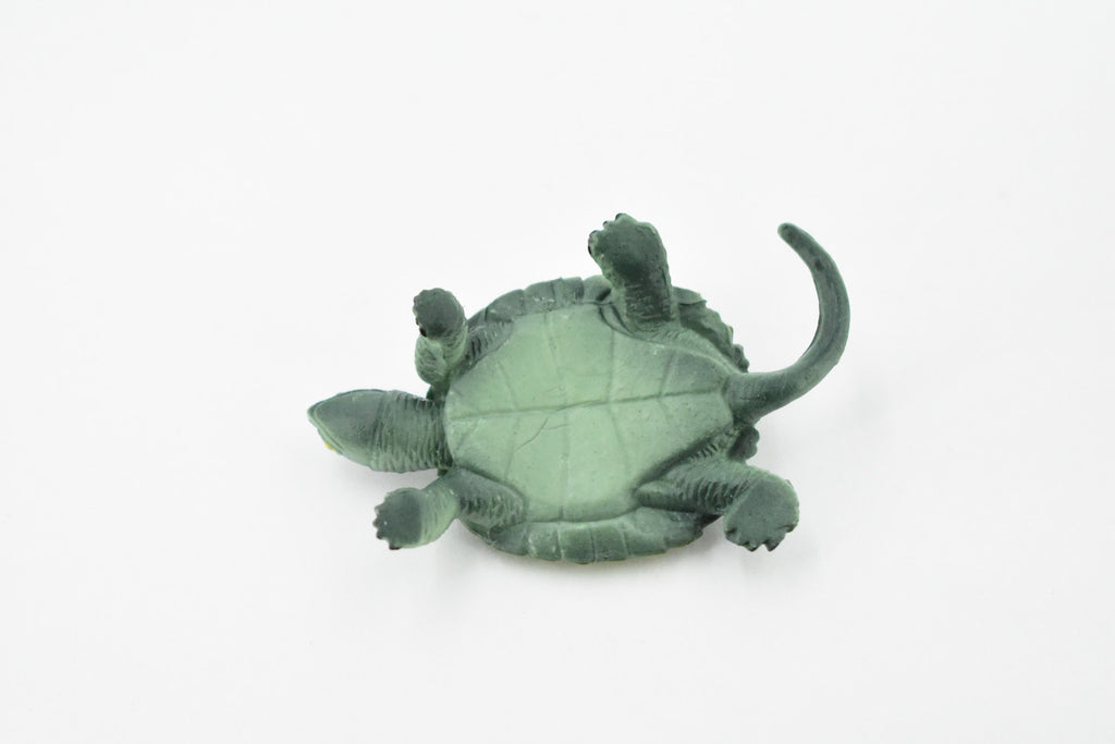 Turtle, Japanese Pond Turtle, Terrapin, Hand Painted, Rubber Reptile, Realistic Toy Figure, Model, Replica, Kids, Educational, Gift,     2 1/2"    CH247 BB123