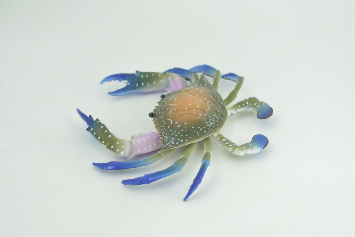 Blue Crab, Hand Painted, Museum Quality, Rubber, Crustaceans, Educational, Realistic, Diorama Model, Figure, Lifelike, Replica, Gift,   5 inches       CH1010 BB221
