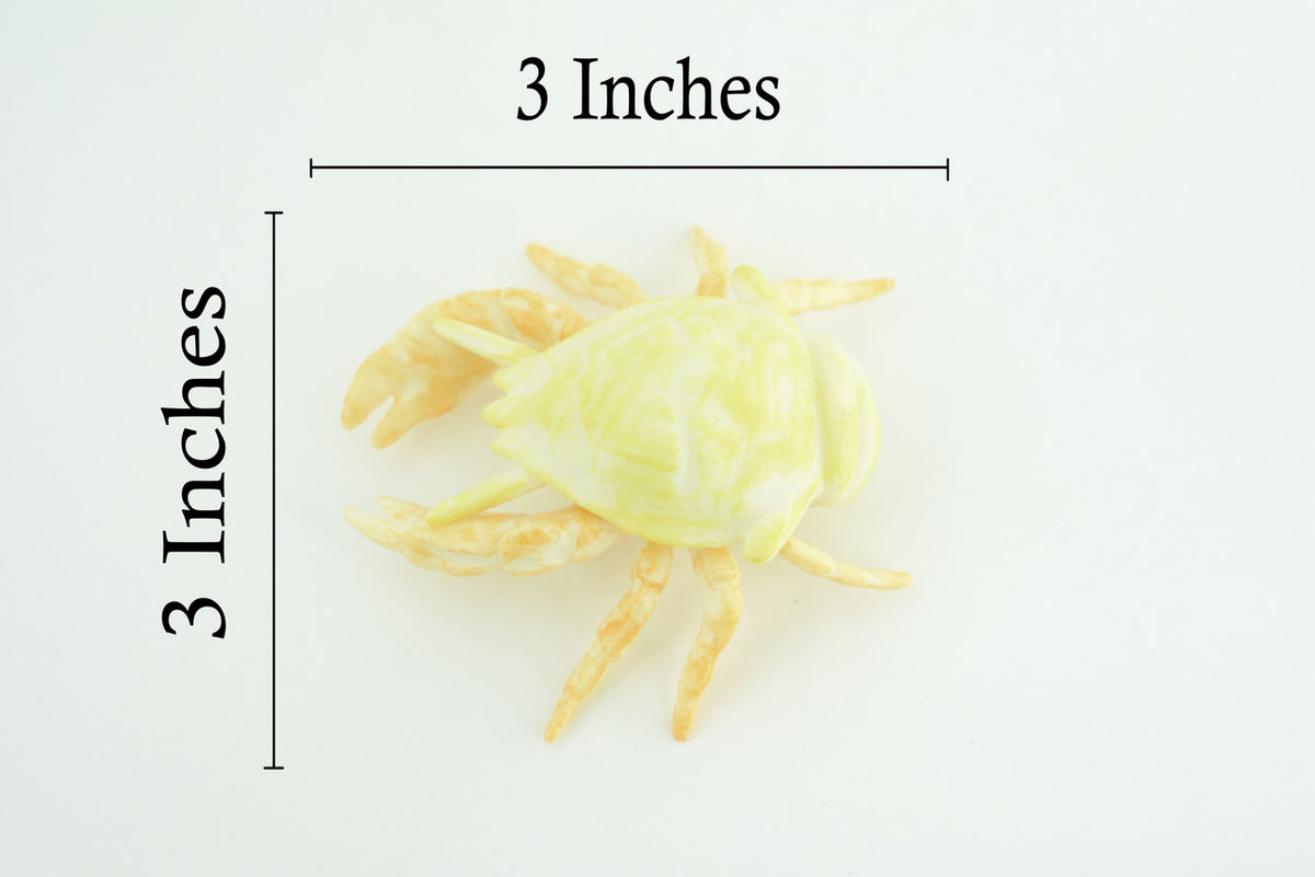 Hoff Crab, Kiwa tyleri, Squat Lobster, Marine Crustaceans, Museum Quality, Hand Painted, Toy Figure, Diorama Model, Replica, Kids, Educational, Gift, 6 Inches. CH1052 BB221