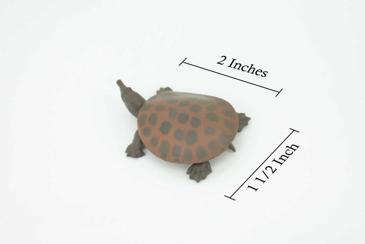 Softshell Turtle, Apalone spinifera, Freshwater Turtle, Hand Painted, Educational, Rubber Reptile, Realistic Figure, Lifelike, Gift,    2"    SF38 B15