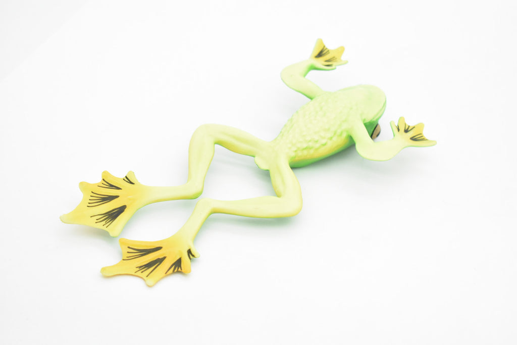 Tree Frog, Leaping, Very Realistic Rubber Reproduction, Hand Painted Figurines,   8"    CH038 BB75