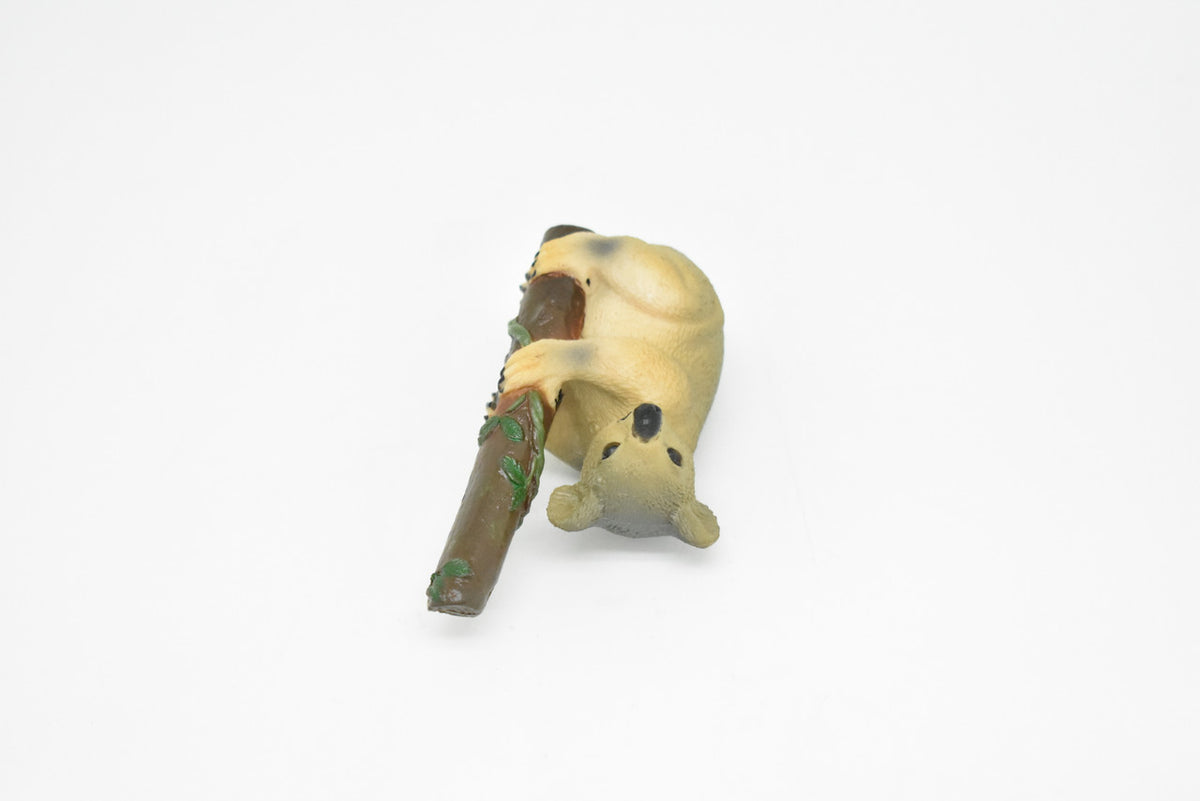 Koala Bear, Australian marsupial, Hand Painted, Museum Quality, Very Nice Plastic Design, Animal Figure, Educational, Lifelike, Diorama Model, Toy, Kids, Gift,  3 Inches Tall.  CWG166 BB40