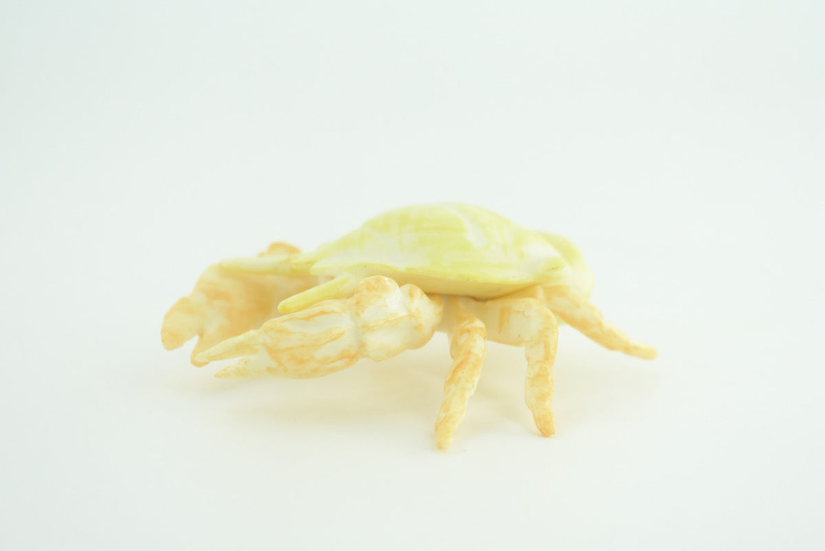 Hoff Crab, Kiwa tyleri, Squat Lobster, Marine Crustaceans, Museum Quality, Hand Painted, Toy Figure, Diorama Model, Replica, Kids, Educational, Gift,    6 Inches.   CH1052 BB221