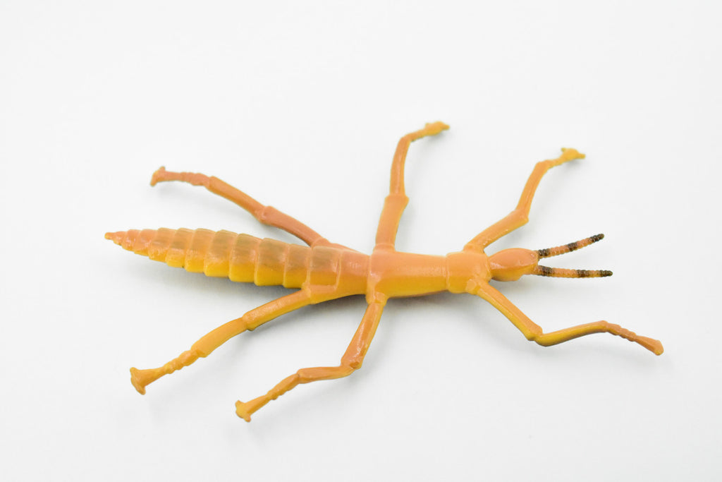 Stick Insect, Phasmatodea, Rubber Insect, High Quality, Hand Painted, Educational, Realistic Toy Figure, Diorama Model, Replica, Kids,  Gift,     4 1/2 Inches.    CH458 BB114