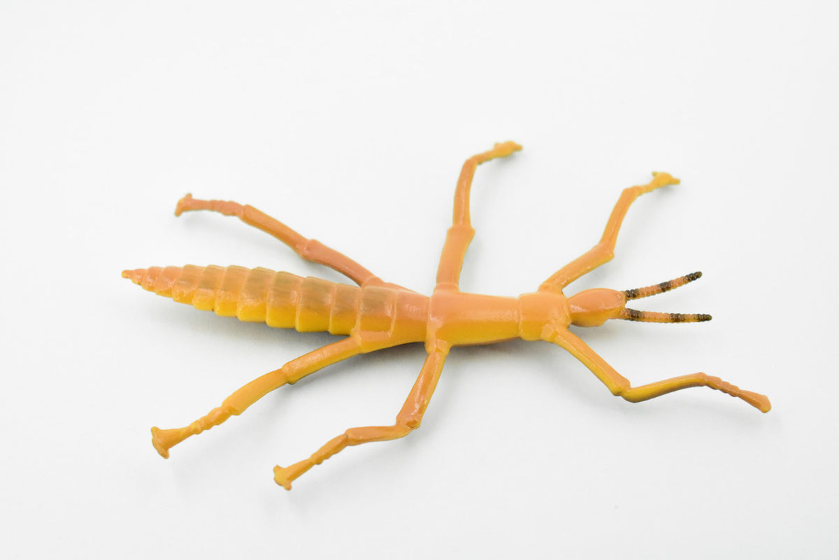 Stick Insect, Phasmatodea, Rubber Insect, High Quality, Hand Painted, Educational, Realistic Toy Figure, Diorama Model, Replica, Kids,  Gift,     4 1/2 Inches.    CH458 BB114