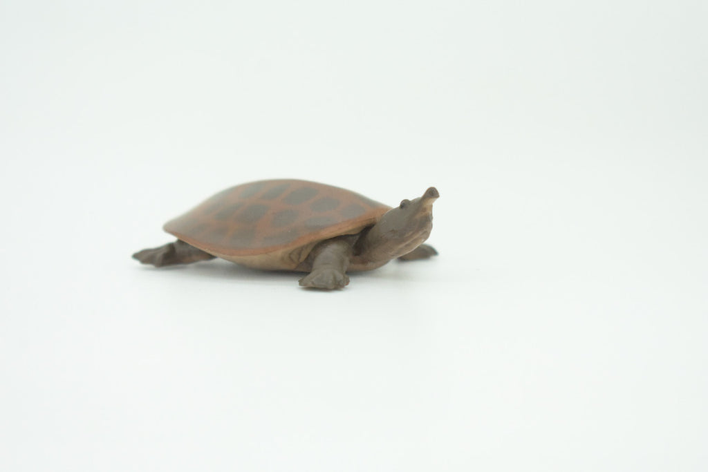 Softshell Turtle, Apalone spinifera, Freshwater Turtle, Hand Painted, Educational, Rubber Reptile, Realistic Figure, Lifelike, Gift,    2"    SF38 B15
