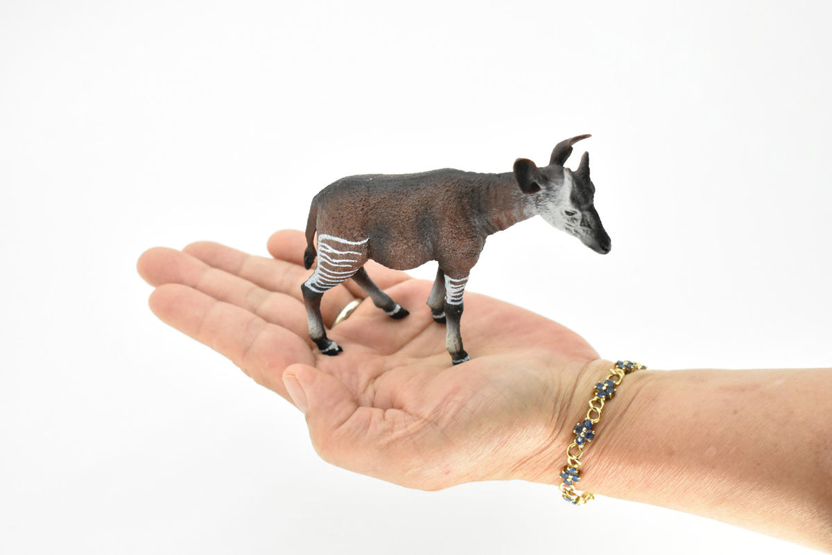 Okapi, Forest Giraffe, Museum Quality, Hand Painted, Educational, Rubber Animal, Realistic Toy Figure, Diorama Model, Kids,  4 1/2 Inches. 