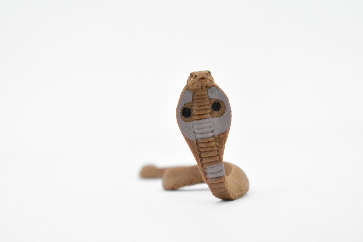 Snake, Common Indian Cobra, Rubber Reptile, Educational, Realistic Hand Painted, Figure, Lifelike Model, Figurine, Replica, Gift,    4"    F3455 B39