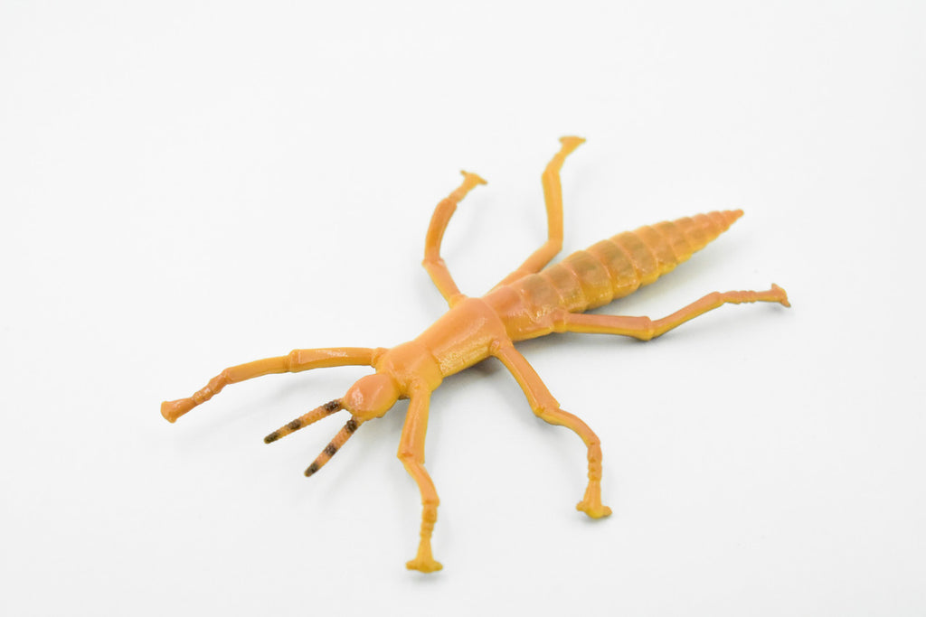 Stick Insect, Phasmatodea, Rubber Insect, High Quality, Hand Painted, Educational, Realistic Toy Figure, Diorama Model, Replica, Kids,  Gift,     4 1/2 Inches.    CH458 BB114
