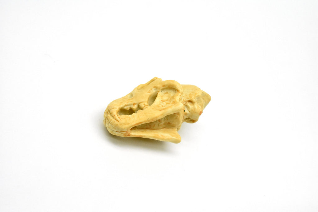 Lion Skull, Very Nice Plastic Reproduction    1 7/8 inches long     F4124 B193