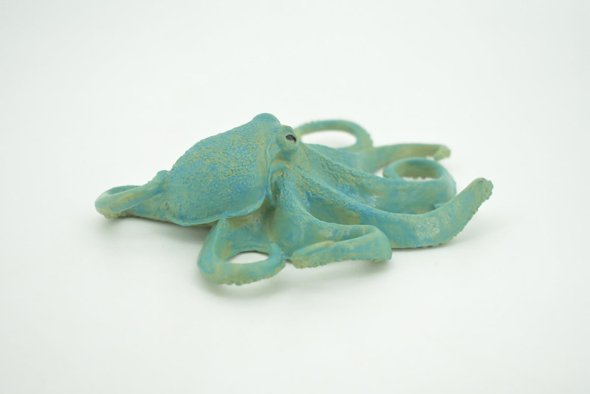 Octopus, Octopodes, Octopoda, Blue Octopi, Museum Quality, Hand Painted, Hard Rubber, Realistic Figure, Toy, Kids, Educational, Gift,      5"       CH284 BB178