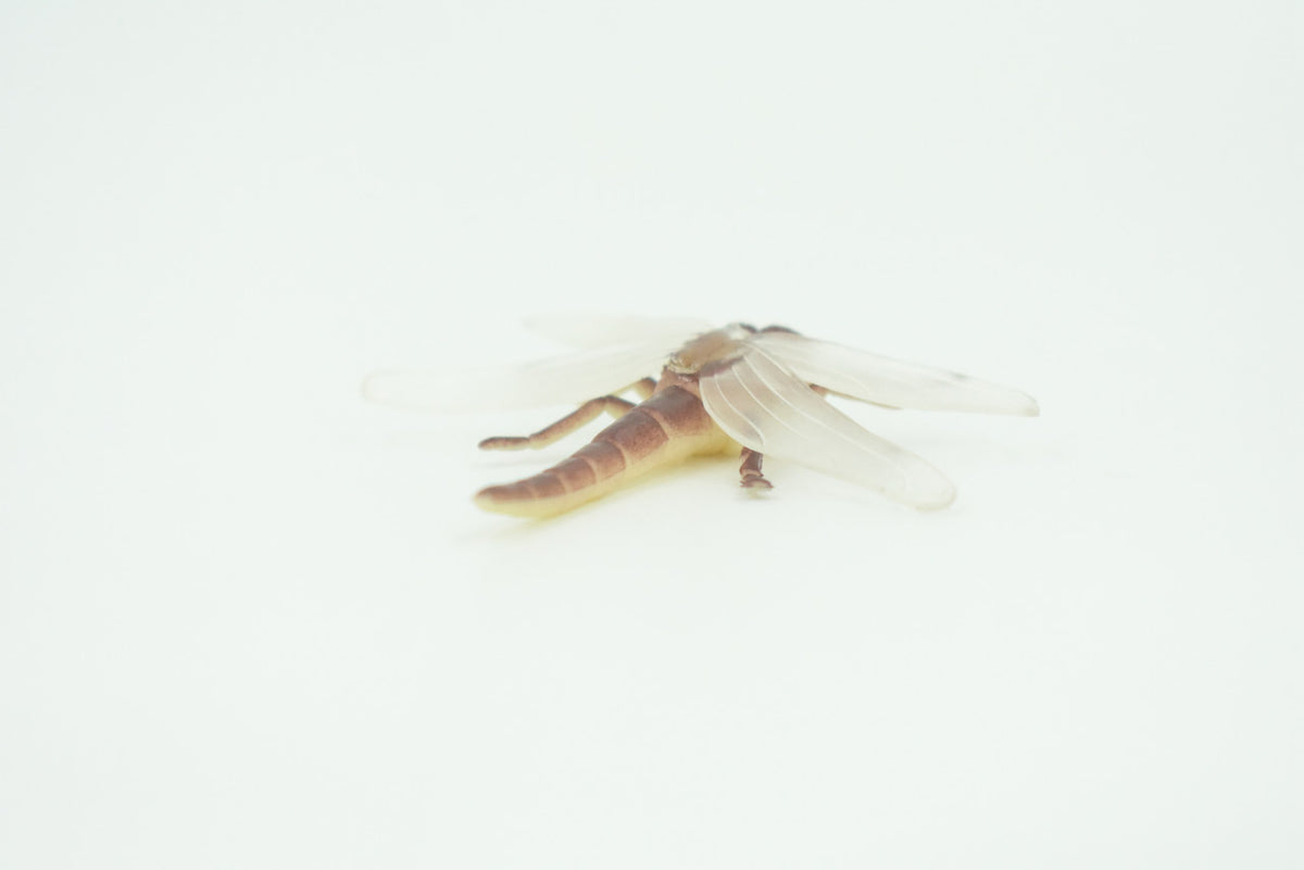 Dragonfly, Very Nice Rubber Insect, Educational, Realistic Hand Painted, Figure, Lifelike Model, Figurine, Replica, Gift,   2"   US15 B44