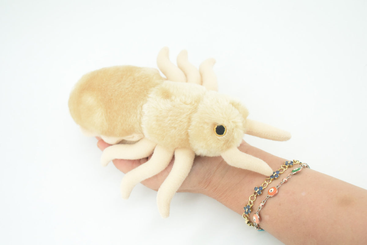 Louse, Pediculus capitis, Head lice, Insect, Parasite, Plush Design, Educational, Figure, Replica, Gift,      8"     F1566 B102