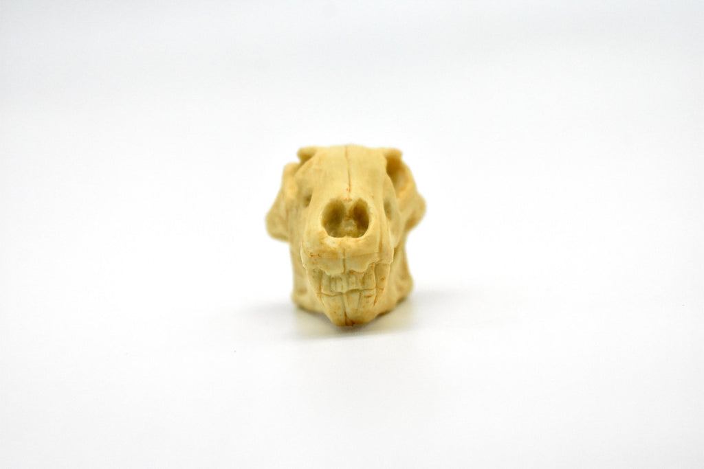 Lion Skull, Very Nice Plastic Reproduction    1 7/8 inches long     F4124 B193