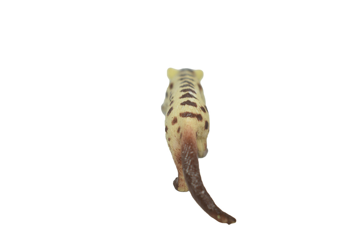 Common Palm Civet, Asian palm civet, Toddy cat, Hand Painted, Realistic, Very Nice Rubber Design, Educational, Diorama Model, Lifelike, Toy, 3 Inches. 