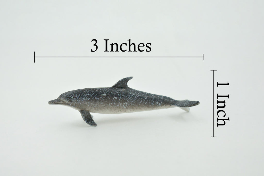 Dolphin, Atlantic Spotted Dolphin, High Quality, Hand Painted, Rubber, Marine Mammal, Realistic, Figure, Model, Toy, Kids, Educational, Gift,     3"      CH657 BB169