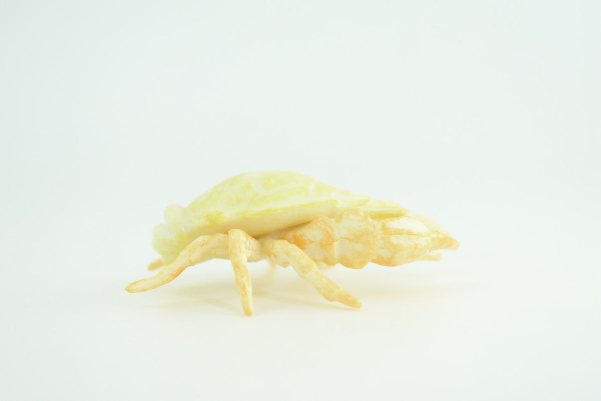 Hoff Crab, Kiwa tyleri, Squat Lobster, Marine Crustaceans, Museum Quality, Hand Painted, Toy Figure, Diorama Model, Replica, Kids, Educational, Gift,    6 Inches.   CH1052 BB221