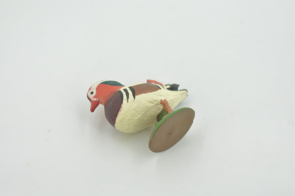 Bird, Mandarin Duck, Museum Quality, Hand Painted, Rubber, Realistic, Figure, Model, Replica, Toy, Kids, Educational, Gift,        2"        CH716 BB174
