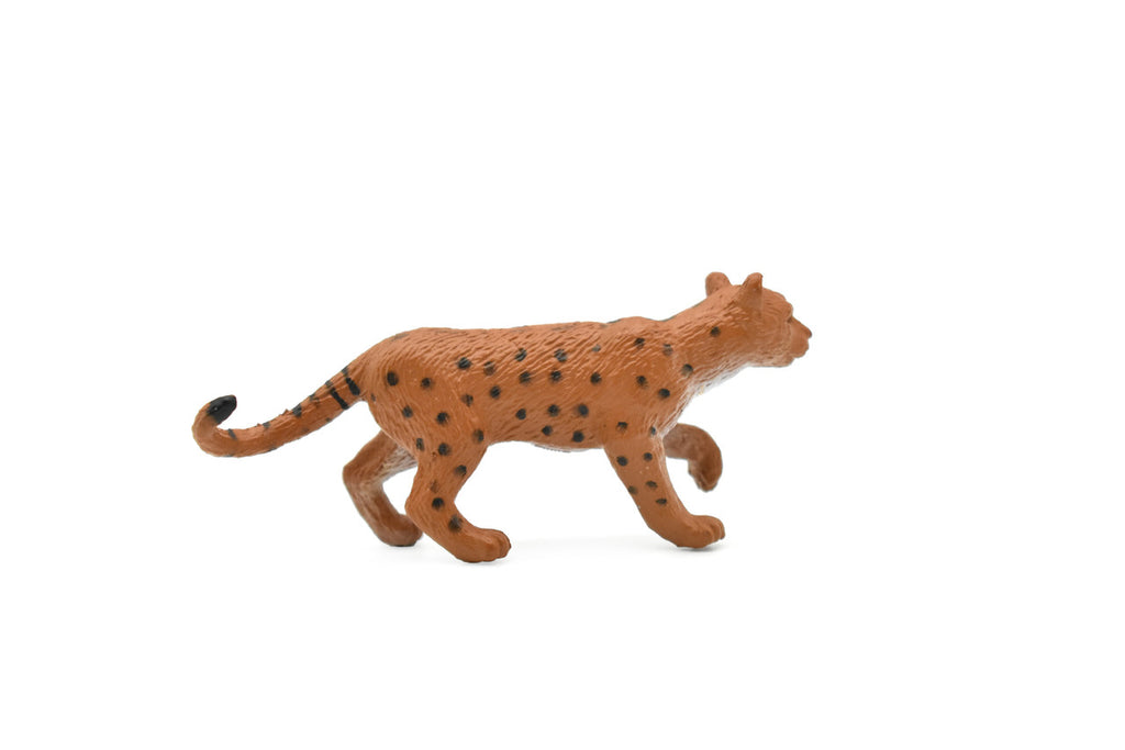 Leopard ~ Plastic Replica 2 1/2"  ~  F7030-B26