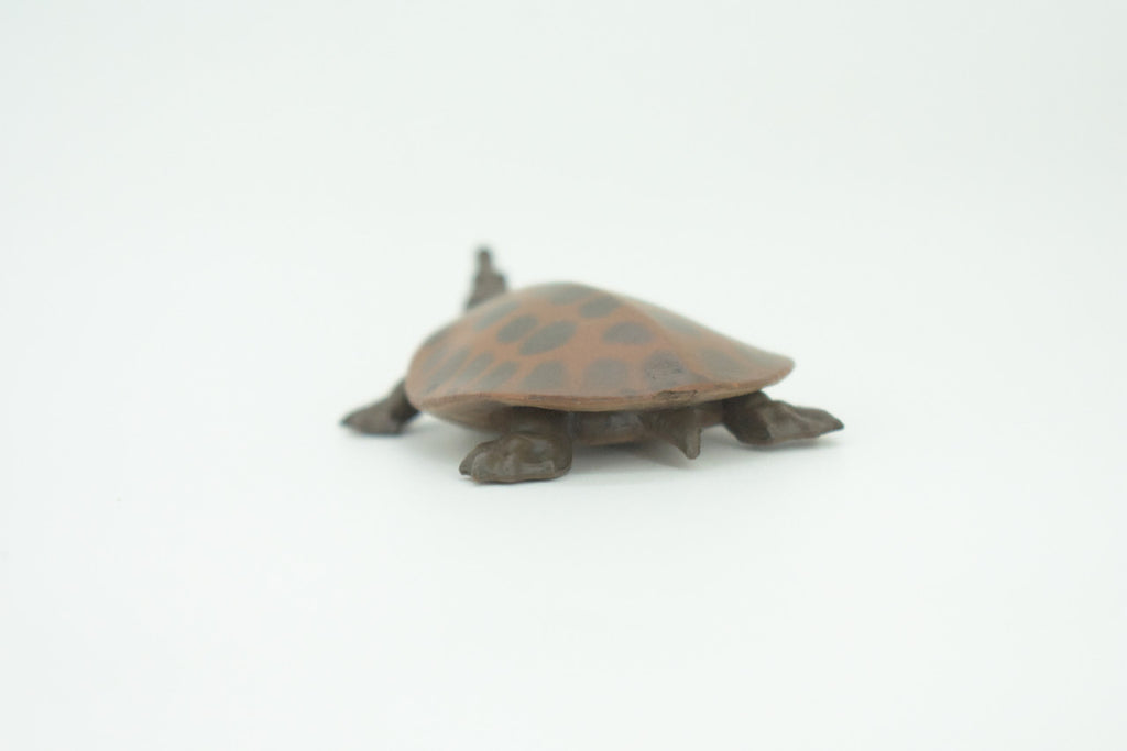 Softshell Turtle, Apalone spinifera, Freshwater Turtle, Hand Painted, Educational, Rubber Reptile, Realistic Figure, Lifelike, Gift,    2"    SF38 B15