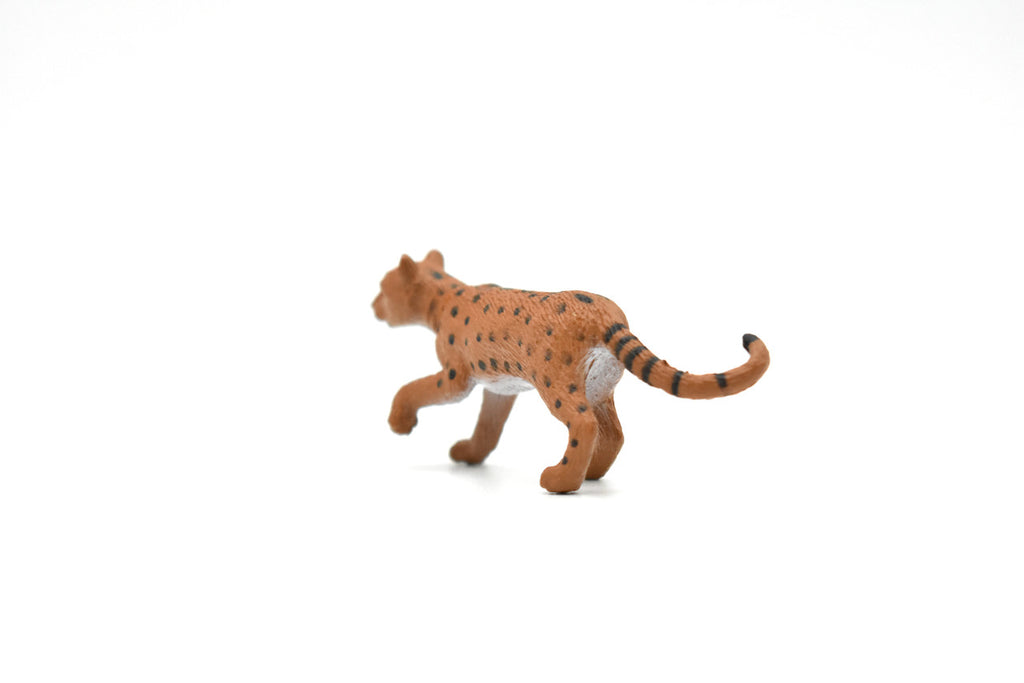 Leopard ~ Plastic Replica 2 1/2"  ~  F7030-B26