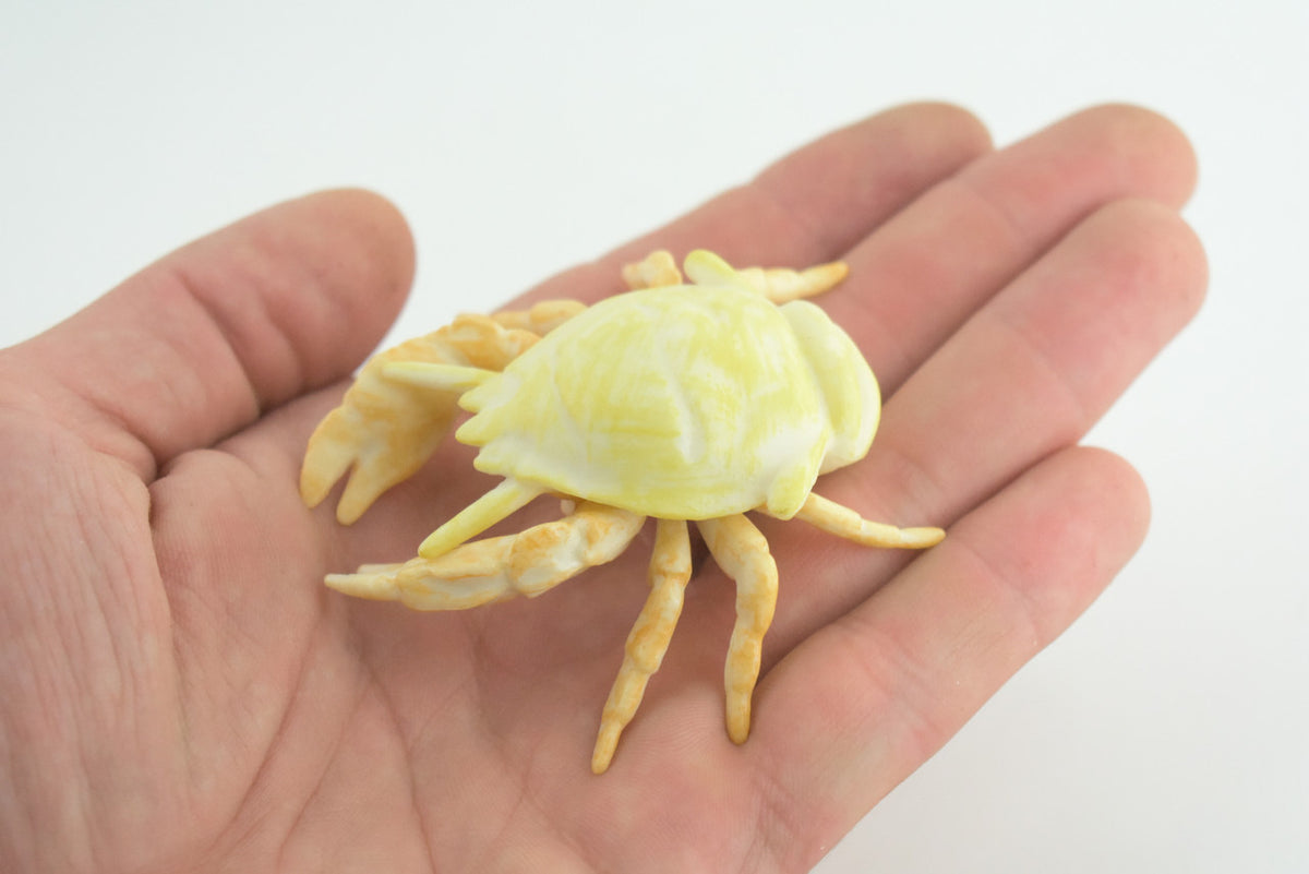 Hoff Crab, Kiwa tyleri, Squat Lobster, Marine Crustaceans, Museum Quality, Hand Painted, Toy Figure, Diorama Model, Replica, Kids, Educational, Gift, 6 Inches. CH1052 BB221