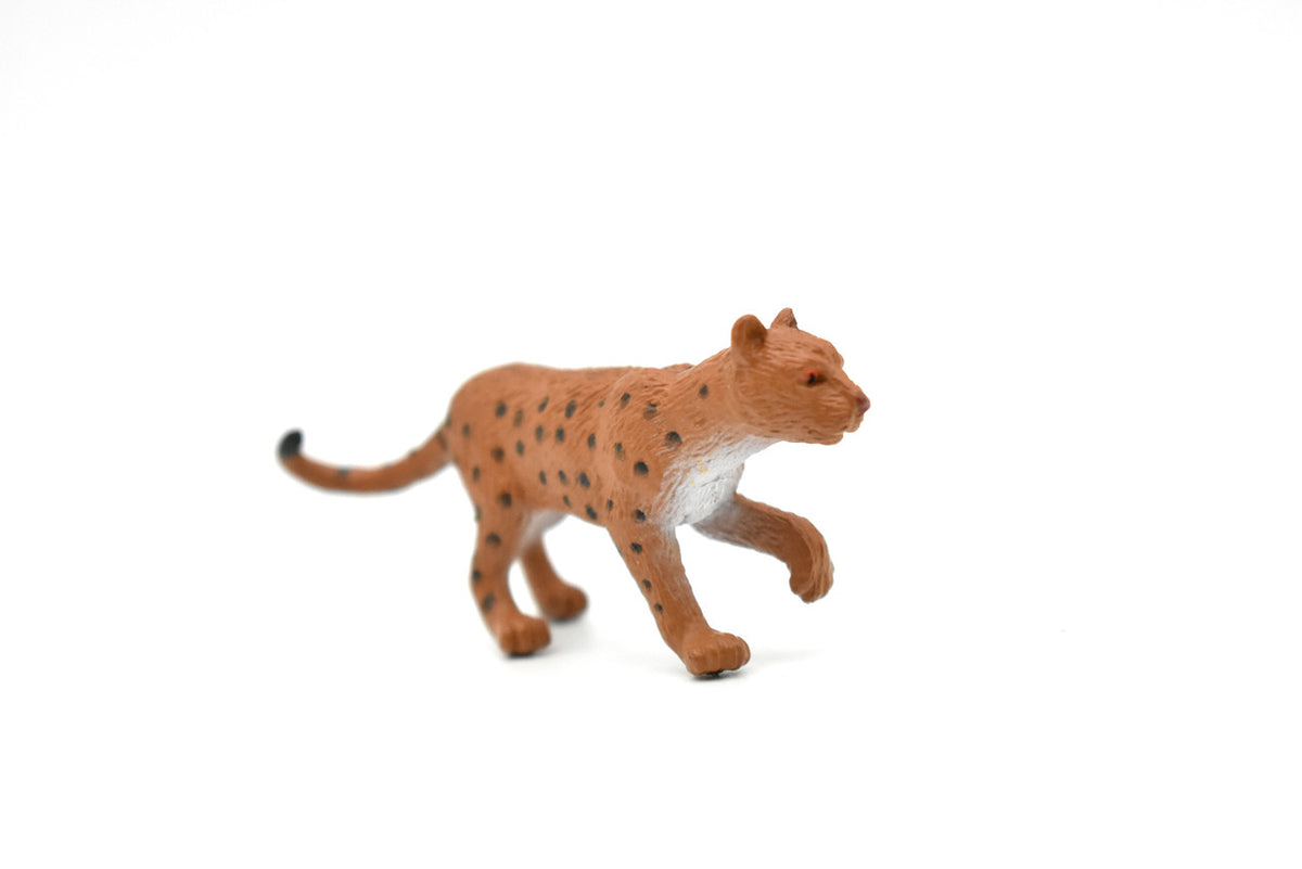 Leopard ~ Plastic Replica 2 1/2"  ~  F7030-B26