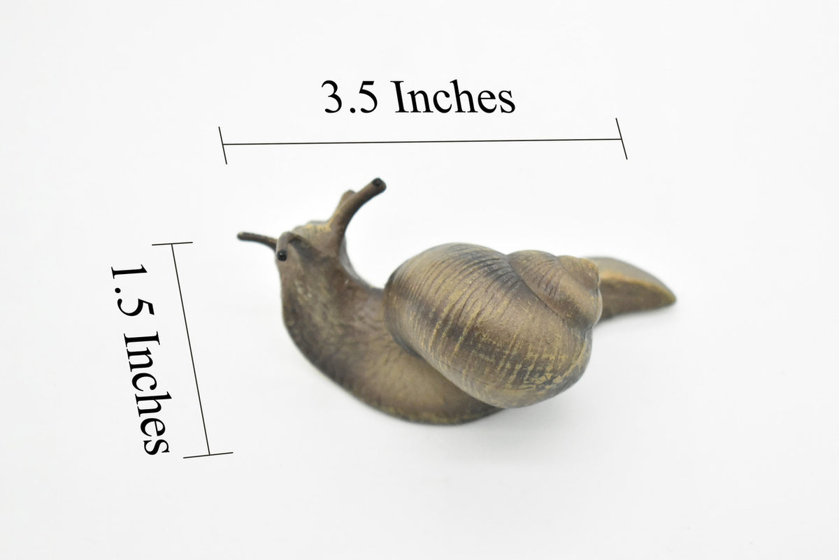 Snail, Shelled Gastropod, Very Realistic Rubber Design, Educational, Hand Painted, Rubber Insect, Diorama Model, Realistic, Kids, Toys, 3 1/2 Inches. 