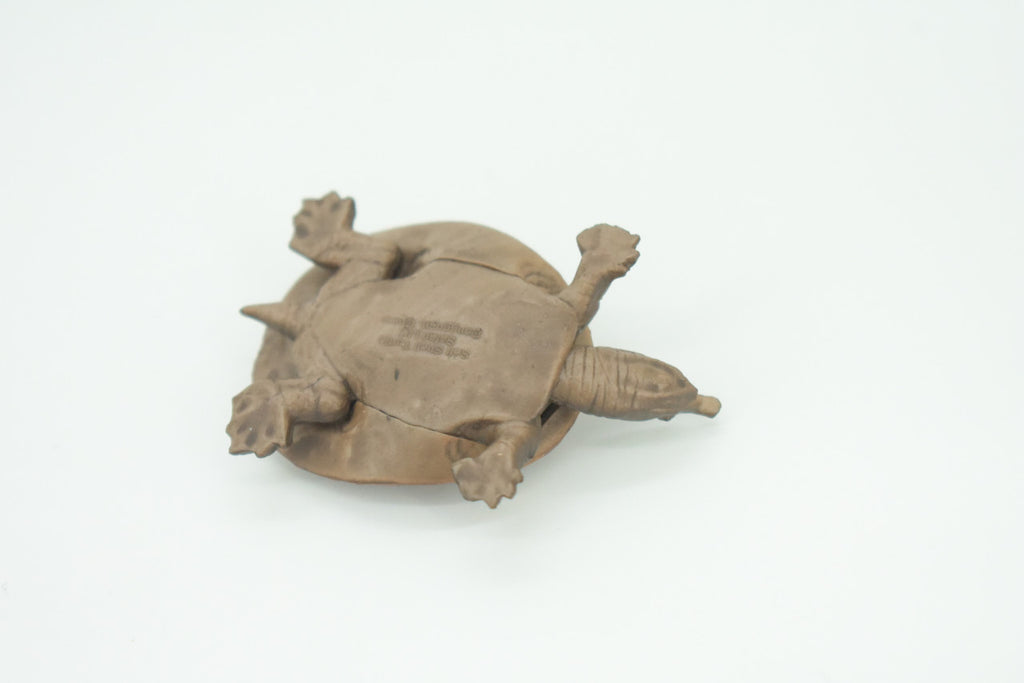 Softshell Turtle, Apalone spinifera, Freshwater Turtle, Hand Painted, Educational, Rubber Reptile, Realistic Figure, Lifelike, Gift,    2"    SF38 B15