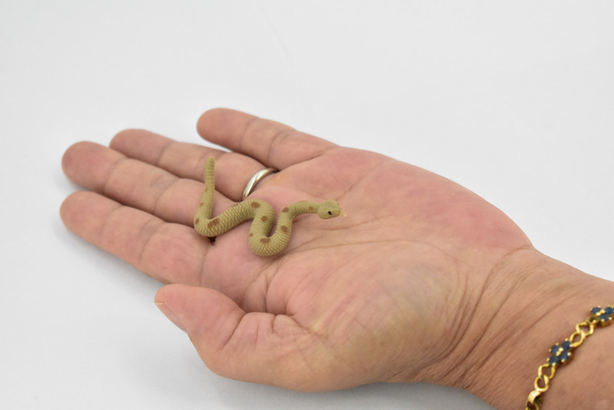 Rattlesnake, Rubber Reptile, Educational, Realistic Snake,  Hand Painted, Figure, Lifelike Model, Figurine, Replica, Toy, Kids, Gift,     2 1/2 Inches    F1517 B103