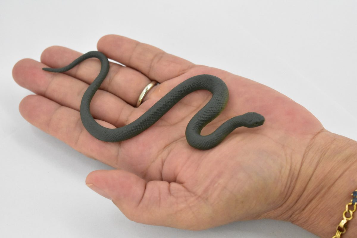 Snake, Smooth Earth Snake, Rubber Reptile, Educational, Realistic Hand Painted, Figure, Lifelike Model, Figurine, Replica, Gift,     5" 