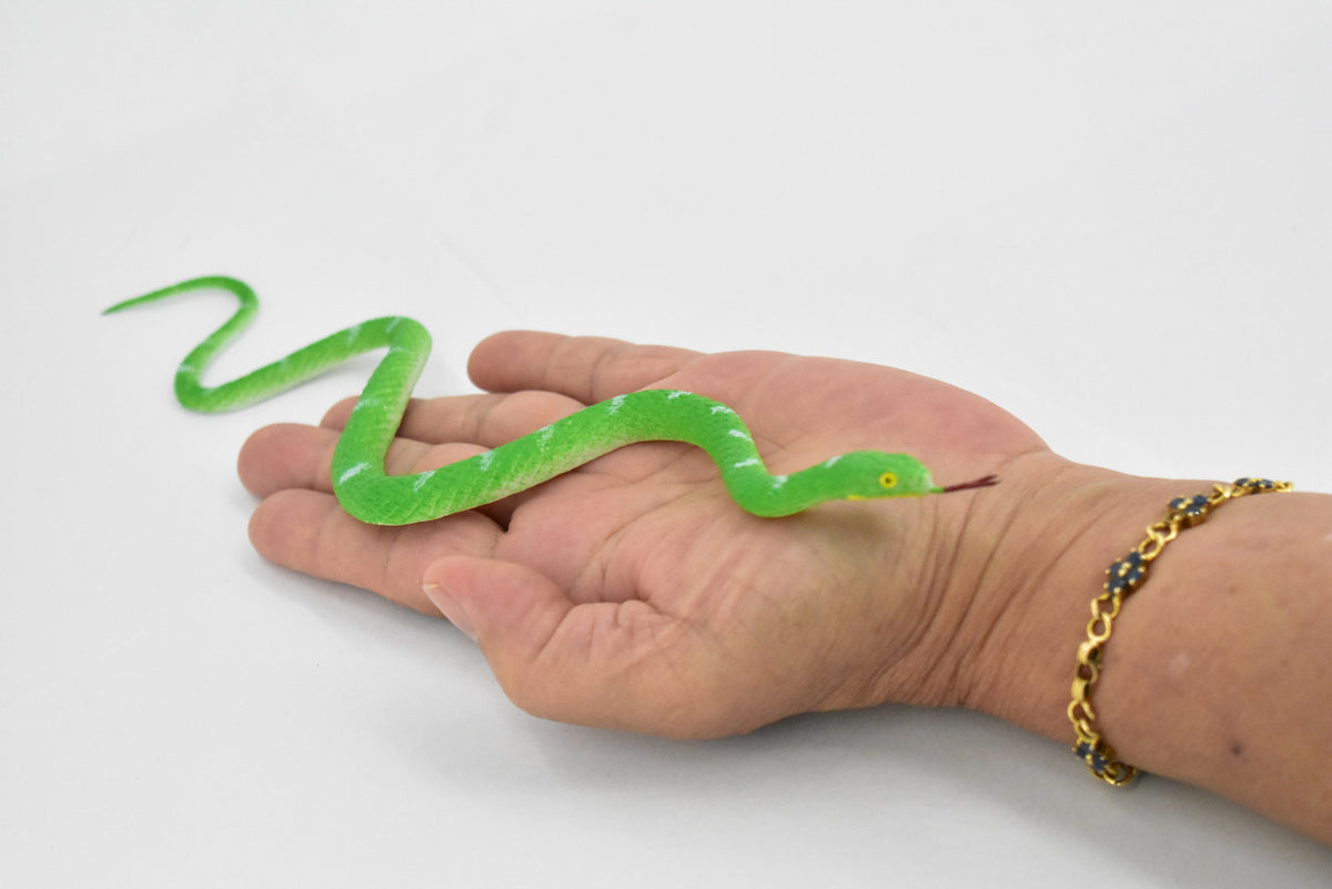 Snake, Bamboo and Mountain Pit Viper, Rubber Reptile, Educational, Realistic, Hand Painted, Figure, Lifelike Model, Figurine, Replica, Gift,    10"      F1734 B222