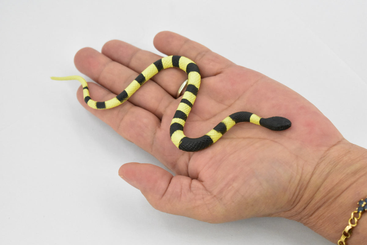 Snake, Banded Krait Snake, Rubber Reptile, Educational, Realistic Hand Painted, Figure, Lifelike Model, Figurine, Replica, Gift,     6"Snake, Banded Krait Snake, Rubber Reptile, Educational, Realistic Hand Painted, Figure, Lifelike Model, Figurine, Replica, Gift,     6"
