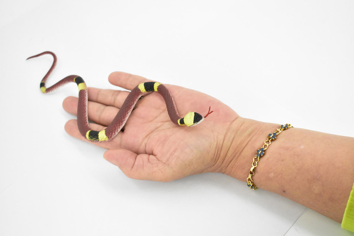 Banded Water Snake, Rubber Reptile, Educational, Realistic Hand Painted, Figure, Lifelike Model, Figurine, Replica, Toy,   10 Inches  