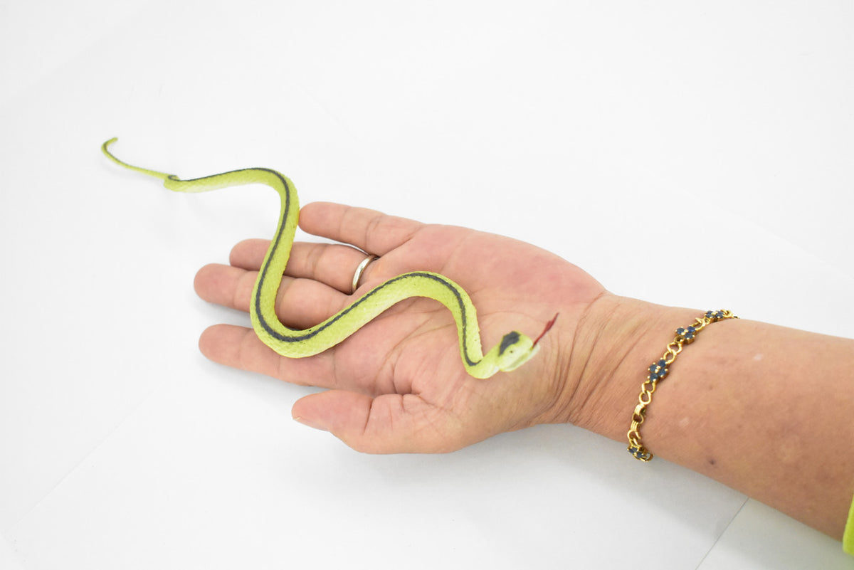 Green racer snake, Rubber Reptile, Educational, Realistic Hand Painted, Figure, Lifelike, Model, Figurine, Replica, Gift, Toy,     10 Inches
